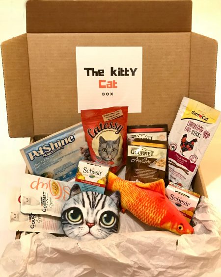 Box do Mês da Kitty Cat Box